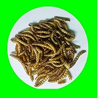 1,0 kg Mehlwürmer getrocknet, Reptilienfutter, Nagerfutter, Vogelfutter