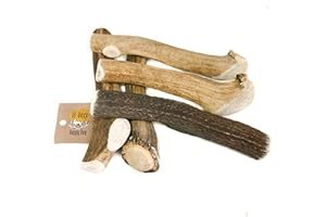 RF - Deer Set of Natural Antler Chews for Dogs | Bone Toy & Treat | Deer | Natural, Safe and Healthy Snack for your Dog | Hard | 5 pcs | XXL | 0,8-1 kg | 19-21 cm