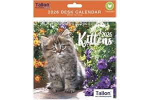 CARDS GALORE ONLINE 2026 Spiral Bound Wiro Flip Desk Top Cat Photo Calendar - Cute Kittens