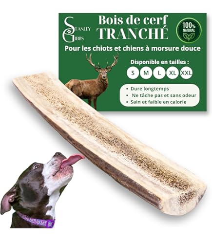 Kauwbotten met kaas van MERVELA voor middelgrote honden [91 g per stokje] - Handgemaakte hondenbotten - Heerlijke kaassmaak - 100% natuurlijk en suikervrij - Optimale gebitsverzorging (1 stuk