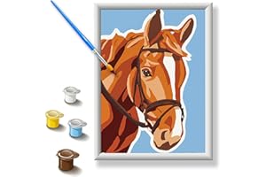 HOMORRO Malen Nach Zahlen Kinder Mit Rahmen Bastelset Basteln für Mädchen ab 5 6 7 8 9 10 11 Jahre DIY Set Bastelsets Kreatives Paint by Numbers Bastel Sachen Bastelsachen Geschenke Geschenk Teenager Pferd