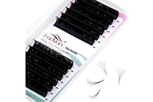 Extension Ciglia Easy Fan 0.05mm C Curl 10mm 2D~20D Estensioni Ciglia Ciuffetti Volume Russo Seta Professionale FADVAN(0.05C-10mm)
