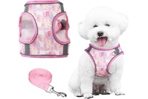 PawSailor Harnais Chien Anti-Fuite Anti-Traction, Harnais pour Petit Chien avec Laisse Réglable Respirante Floral, Sécurité Réfléchissante pour l'entraînement à la Marche, Rose XXS