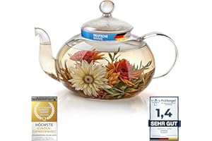 Mundgeblasene Teekanne mit Teefilter & Teesieb Kanne mit Filtereinsatz aus Glas von Dimono; 600 ml perfekt für Teeblumen