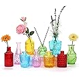 O9 O-NINE Set of 10 Glass Bud Vases, Small Vases for Flowers,Colorful Single Bud Vases in Bulk,Mini Decor Rustic Vases for Centerpieces,Vintage Glass Bottles for Wedding, Home,Table Decoration