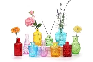 Glass Bud Vase Set of 10 - Small Vases for Flowers, Coloured Bud Vases in Bulk, Cute Glass Vases for Centerpieces, Mini Vintage Vase for Rustic Wedding Decorations, Home Table Flower Decor By HYCKee