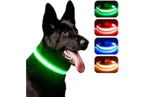 Leuchthalsband Hund, iTayga USB Aufladbar Led Hundehalsband Einstellbar Hundehalsband Leuchtend, Nacht-Sicherheitslicht Hundehalsband,TPU Wasserdicht, 3 Beleuchtungsmodi(Grün, L)