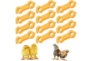 LUMOOM 12 pezzi pulcini correzione della gamba di allargamento, bende per zampe di allargamento e ossa di pollo, fascia di supporto per anatre e quaglie