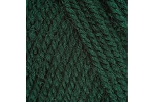 Stylecraft 5 x 100g Bottle 1009 Double Knit Wool 5 x 100g Balls