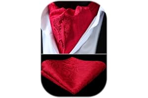 HISDERN Ascot Uomo Paisley Floreale Fazzoletto Cravatta da Matrimonio Elegante Foulard Business Ascots e Pochette Set