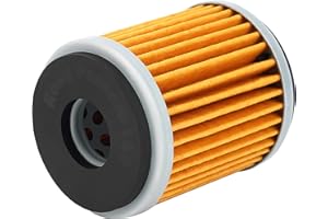 Road Passion Filtre à l'huile pour YAMAHA YFM250 RAPTOR 249 2008-2013 YFM250R RAPTOR 249 2011