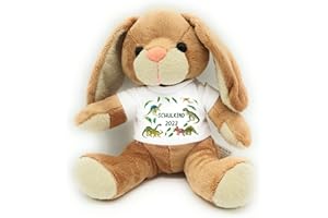 Kilala Hase Kuscheltier für die Zuckertüte Schultüte mit Wunschname Hase Topping für die Schultüte (Dino ohne Namen)