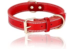 DAIHAQIKO Collare per Cane in Vera Pelle Collari per Cani Resistente Collare Largo per Cani di Piccola Taglia Media Taglia Grande ed Extra Grande