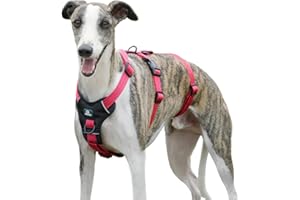 PAWORLD Pettorina Antifuga Cane, Pettorina Anti Tiro per Cani, Pettorina Cane Taglia Piccola, Pettorina Regolabile Cane, Traspirante, Senza Soffocamenti, Allenamento alla Camminata (Rosa Rossa,S)