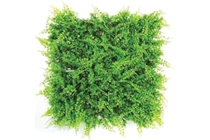 FAUXLIAGE LANDSCAPING SALE - 12 Fauxilage Landscaping Evergreen Fern Living Wall panels | Boxwood Greenery For Home Garden Indoor and Outdoor Decoration | Gives Natural Look To Your Garden - 50cm x 50cm panels