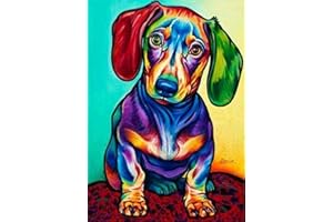 OWN4B Kit per punto croce su tela prestampata, motivo colorato bassotto da 11 ct, 36 x 46 cm, kit per ricamo fai da te (cucciolo)