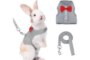 AIITLE Kaninchengeschirr und Leine Set mit süßer Schleife, weiches, atmungsaktives Netzwestengeschirr für Kaninchen, Kätzchen, Frettchen, Welpen, kleine Haustiere, Spazierzubehör, Grau, S