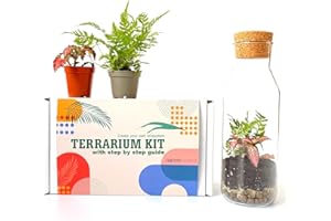 CONCRETELAB&CO Terrarium Kit with Glass Container & Cork Lid, Mini Garden, Gift Idea, DIY Kit (Complete Set with Tools, Fern, Fittonia)