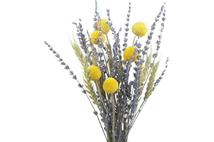 BEST ZOIKOM Flores Secas Naturales,Espigas De Trigo Secas 40-44 cm, Ramos de Flores Secas Naturales Decoración para el Hogar para Decoracion Boho Fiestas Bodas