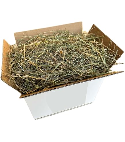 Foin Naturel Pour Lapins 20 Kg - Foin De Montagne Italien Séché Au Soleil - Pour Rongeurs, Chevaux