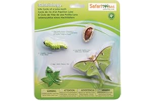 Safari Ltd.- Ciclo de la Vida de una Polilla Luna Figura de Juguete, Multicolor, 8.97"x 7.02" x 0.82" (663516)