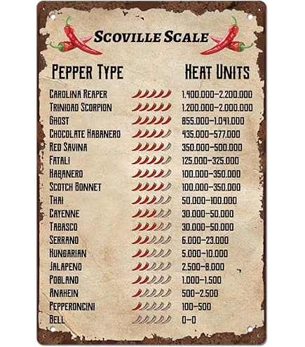 De Grote Chili Poster Fresco Peper Soorten Pittige Metalen Tinnen Borden Muurkunst Plaquette voor Keuken Thuis Pub Restaurant Bar Klaslokaal 20 x 30 cm