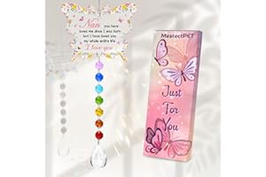 MESTECTPET Gifts for Nan, Nan from Grandchildren, Nan Sun Catchers Gifts, Mother's Day, Birthday Gifts for Nan, Best Nan Gifts