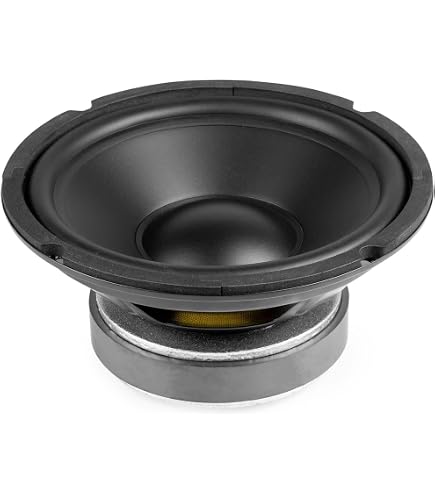 Seven Soundvector SVG8-4Ohm Woofer 8 Pulgadas Altavoz Profesional de Grave Medio-Grave 4 Ohm 150W AES Seven Soundvector SVG8-4Ohm Woofer 8 Pulgadas Altavoz Profesional de Grave Medio-Grave 4 Ohm 150W AES