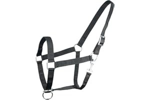 Brama West Licol pour chevaux à sang froid | XFull XXFul XXXFull | Très robuste et résistant à la déchirure | Réglable | Licol d'écurie | Noir