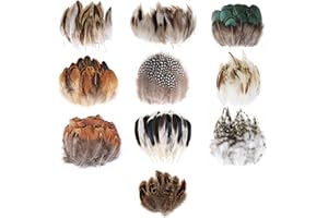 MWOOT 300 Piezas Plumas Naturales, 10 Estilos Plumas de Pollo Decoracion para Manualidades, Plumas Decorativas para DIY Atrapasueños Mascarada de Carnaval Boda Fiesta Decoración
