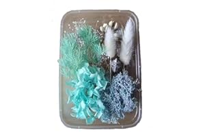 YiYFiT Natural Dried Flowers,8 Kinds Real Dried Flowers DIY Crafts Materials Dried Flowers Bouquets Materials Dried Floral Decorations For Resin Crafts Candle Making Card Wax Seals(Blue with Box)