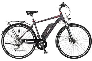 FISCHER E-Bike Trekking VIATOR 1.0, Elektrofahrrad für Damen und Herren, Heckmotor 45 Nm, 48 V Akku