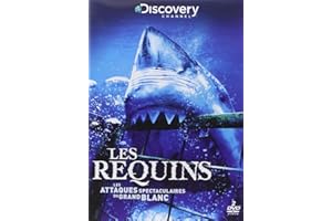 Les Requins-Les attaques spectaculaires du Grand Blanc