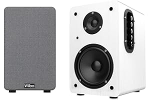 WIIBO ACOUSTICS Wiibo Neo 100 White - Altavoces Activo y Pasivo Profesionales - Potencia de 100W - Altavoz con Bluetooth - Conexión USB/SD - Sistema Bass Reflex - Mando a Distancia Incluido - Color Blanco