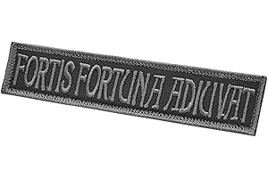 2AFTER1 Fortis Fortuna Adiuvat Subdued 1x5 Name Tape John Wick Morale Tactical Military Fastener Patch