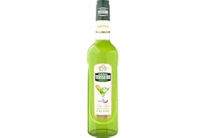 Teisseire Sirop goût cactus de qualité professionnelle 70cl