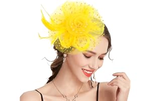 Takmor Fascinators for Women, Wedding Hats for Women with Headband and Forked Clip Mesh Ribbons in Tea Party Wedding Church Cocktail for Women and Girls
