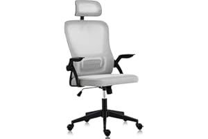 AnYu Furniture Silla de Oficina Ergonómica, Silla para Juegos con Soporte Lumbar, Silla de Oficina con Patas de Plástico, Asiento de Oficina Cómodo con Bracciolo 2D