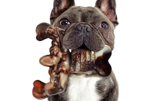 Vitscan Juguetes masticables para perros para masticadores agresivos, juguetes indestructibles para perros, sabor a tocino, huesos resistentes para perros de razas medianas y grandes, los mejores