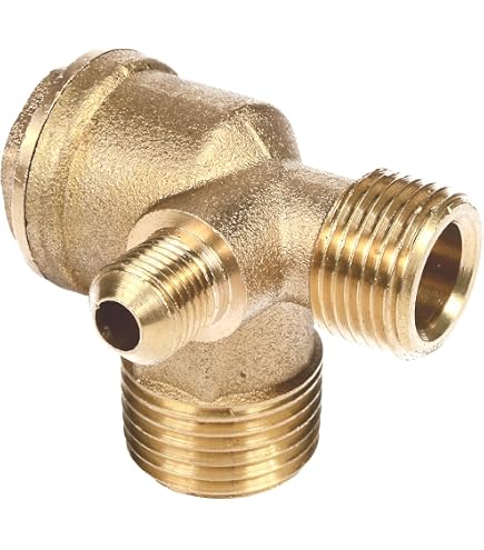 Hooshing Valvola di ritegno in ottone da 1/2 maschio a 1/2