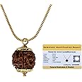 Crystal Heaven Rudraksha Original 5 Mukhi Pendant Necklace for Women Men | Certified Rudraksha with Velvet Pouch (Gold)