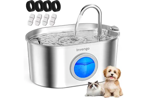 Invengo MeowFlow B30 Fuente de Agua para Gatos y Perros, 2.2L Fuente de Agua de Acero Inoxidable con Ventana Visible, Fácil de Limpiar, Incluye 4 Filtros de Repuesto