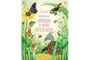 Fenêtre sur Papillons et autres petites bêtes