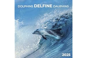 Dolphins/Delfine 2025: Kalender 2025 (Artwork Edition)