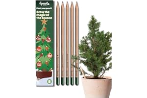 Sprout World Matite Piantabili Set di 5 | Edizione Natale | Pre-temperate | Matite in Legno HB con Varietà di Semi a Tema Invernale | Regalo di Natale