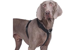 AKOFIC Pettorina Cane Taglia Grande Media Piccola, Pettorina Antifuga Regolabile con Ganci in Metallo, Pettorine Morbido Confortevole Imbottito Petto per Addestrare Le Passeggiate (Nero, L)