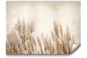 murando - Vlies Fototapete Pampasgras 400x280 cm - Foto Tapete Schlafzimmer Wohnzimmer Moderne Vliestapete XXL Wandtapete Motivtapeten 3d Effekt Wand Dekoration - Trockenblumen b-A-10095-a-a