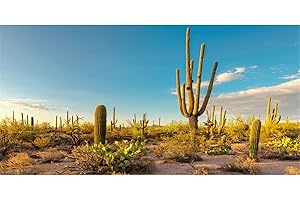MIRRORANG 120x46cm Sole e Deserto Terrario Sfondo Cielo Blu Oasi Cactus Rettile Habitat Sfondo Vinile Sfondo