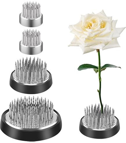 Bloemkikkerhouder met 3 zuignappen Doorzichtige plastic ronde vaas Bloemarrangeur Vaste pin Bloemstukgereedschap kopen vanaf een prijs van 2.73