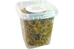 Opus Vita Sphagnum Moss mix for One Enclosure - Suitable for Jumping Spiders and Invertebrates